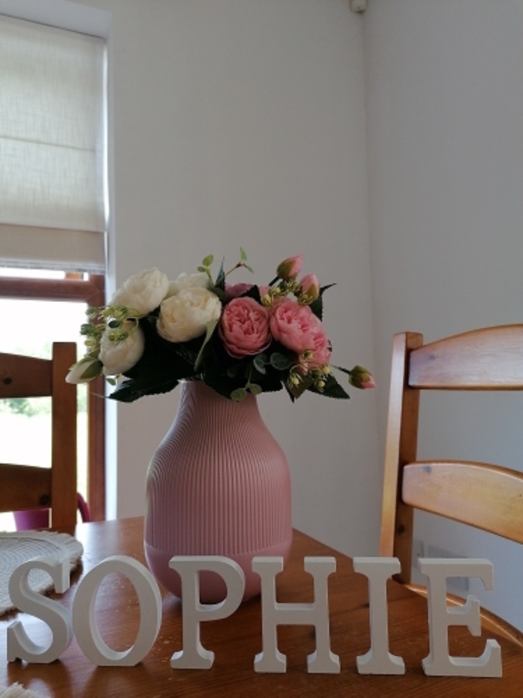 1pc 8CM White Wooden Letter En - Art Craft And Design review and price