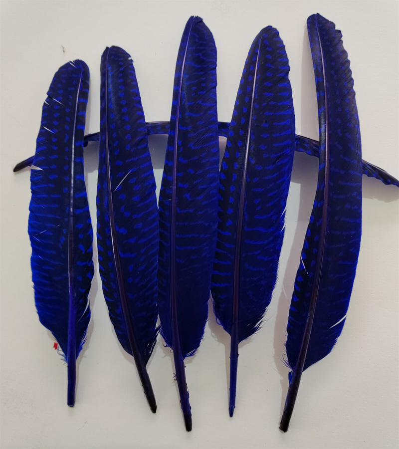 перья!100Pcs/Lot!14-20cm Multi - Art Quilling Craft review and price