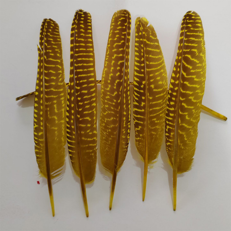 перья!100Pcs/Lot!14-20cm Multi - Art Quilling Craft review and price